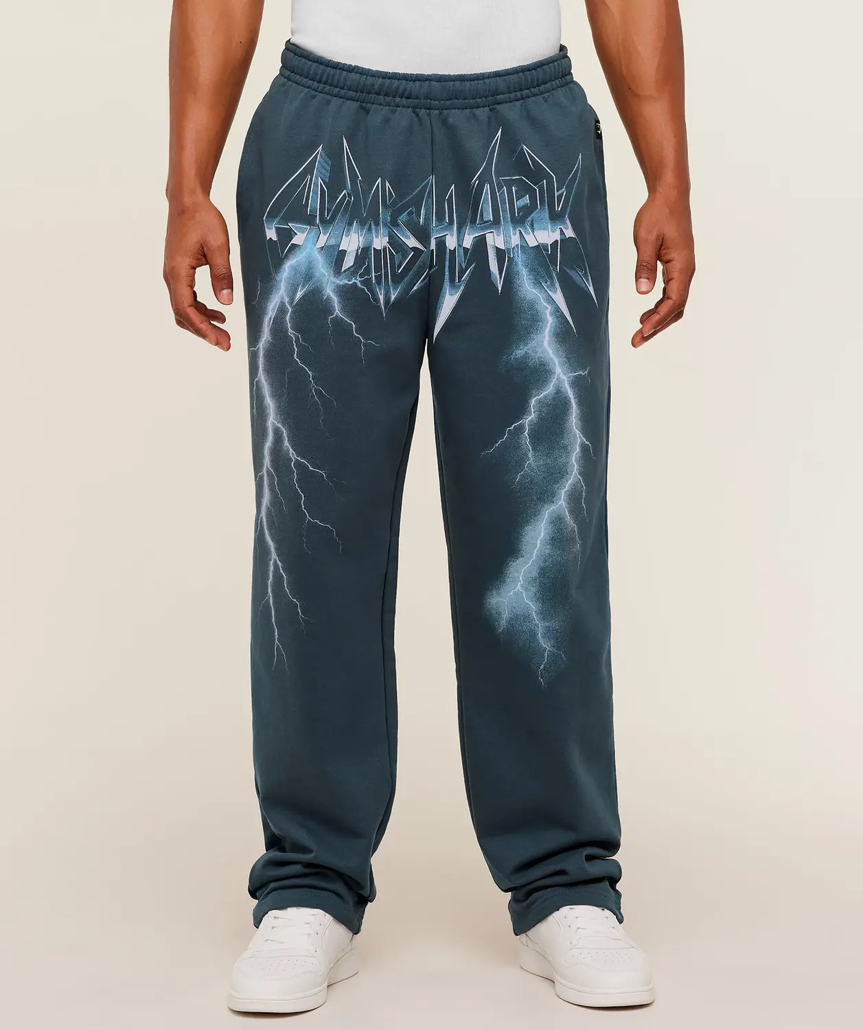 Eagle Band Style Graphic Straight Leg Pants Regular Fit