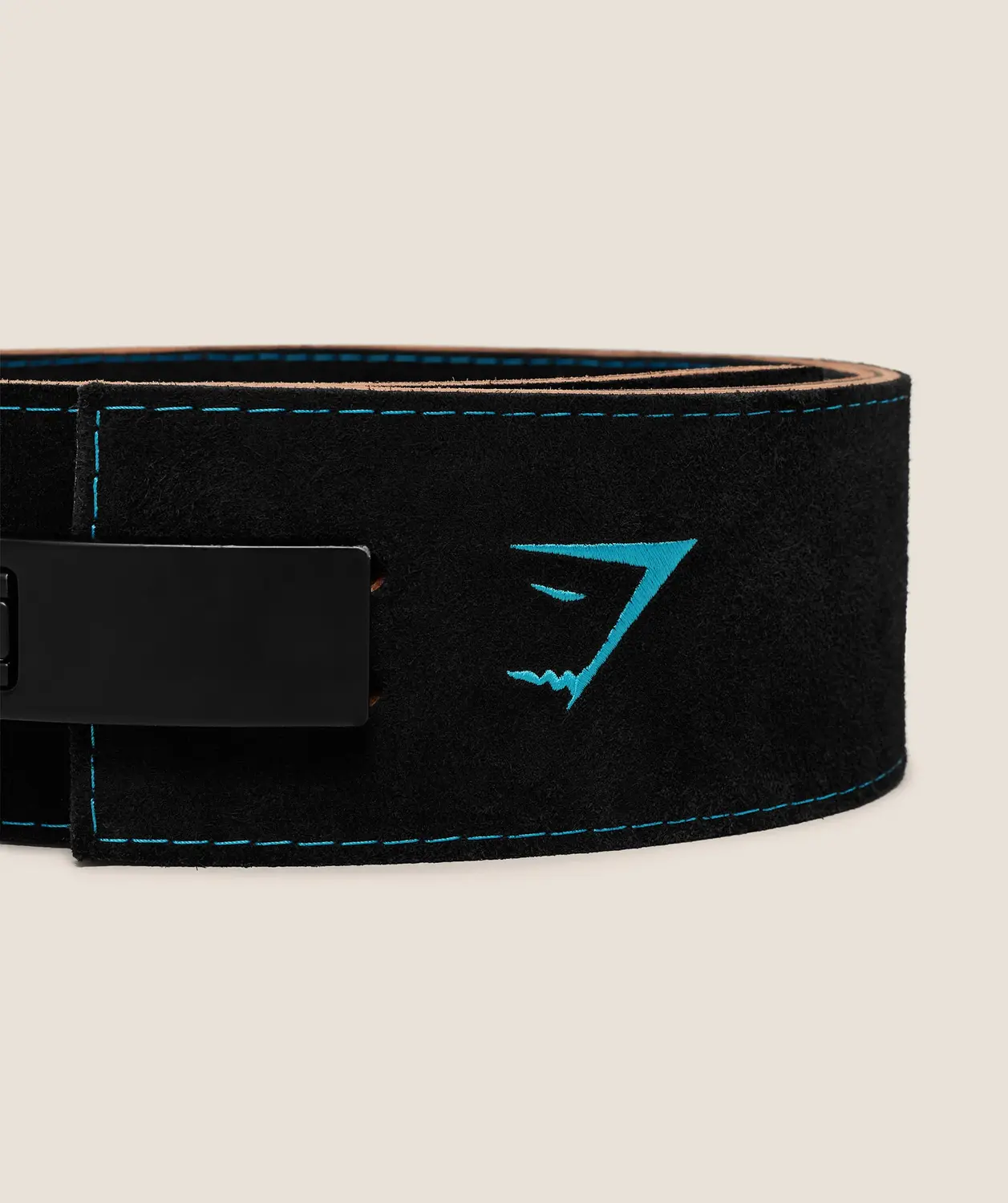 Lever Lifting Belt - Image 6