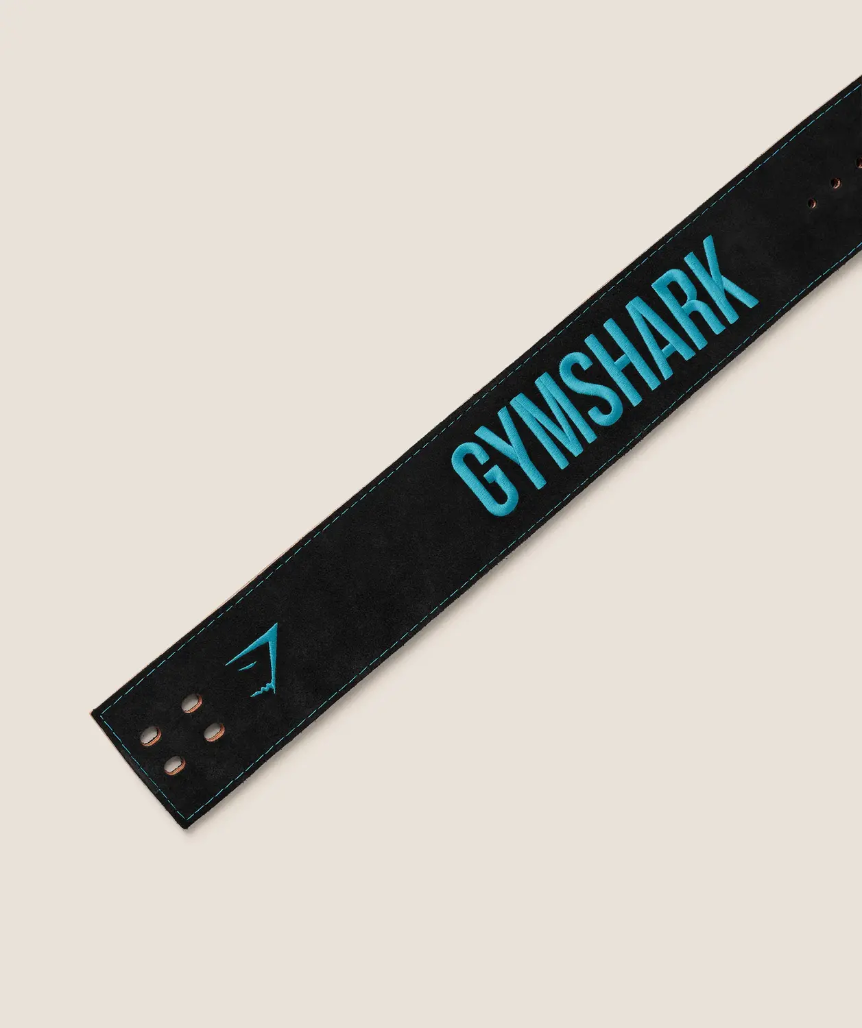 Lever Lifting Belt - Image 2