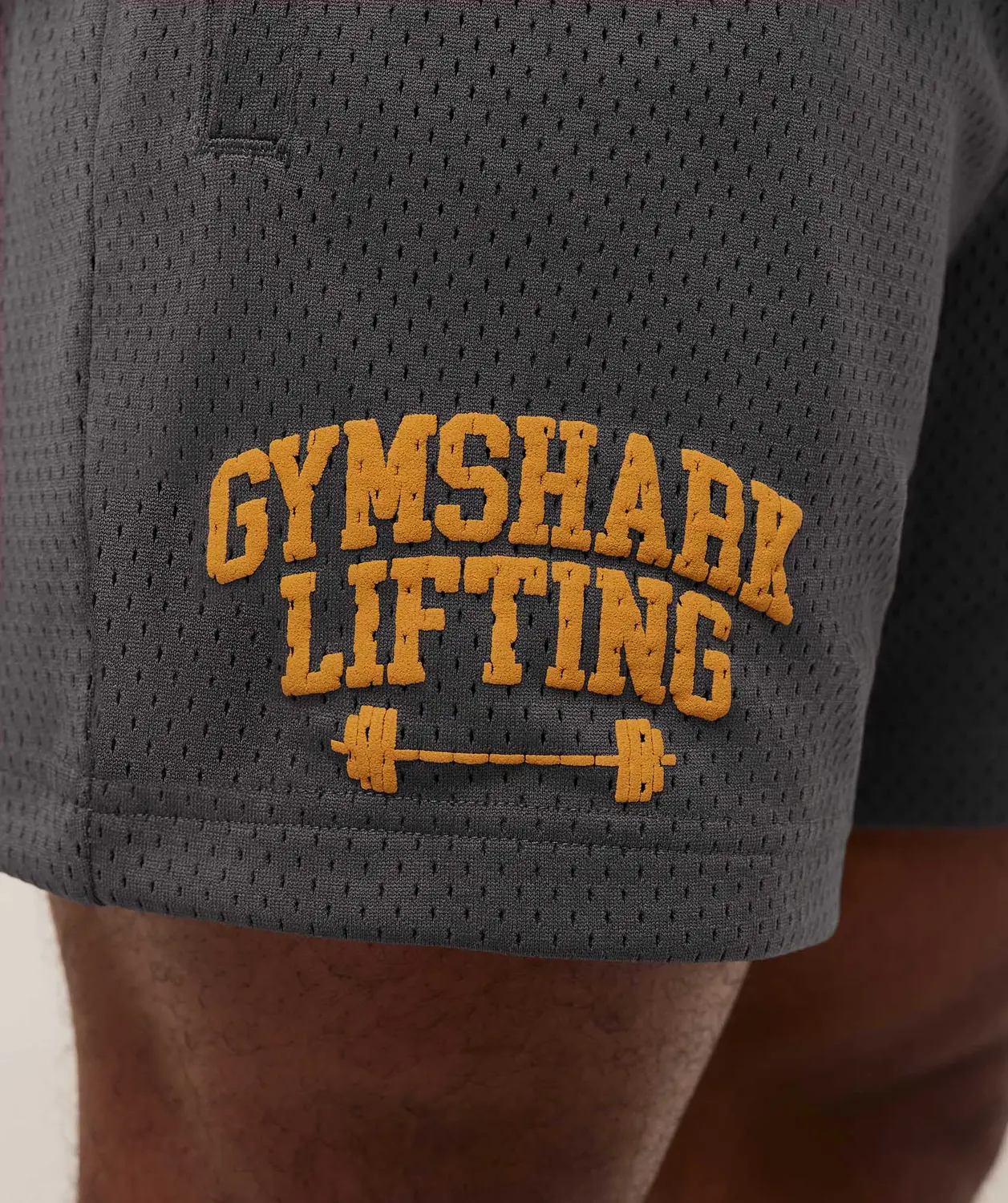 Lifting Barbell Mesh 5" Short - Image 5